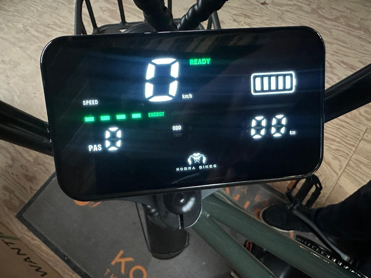 KOBRA V1.2 Fatbike KOBRA Grey – demo #08 – km-stand