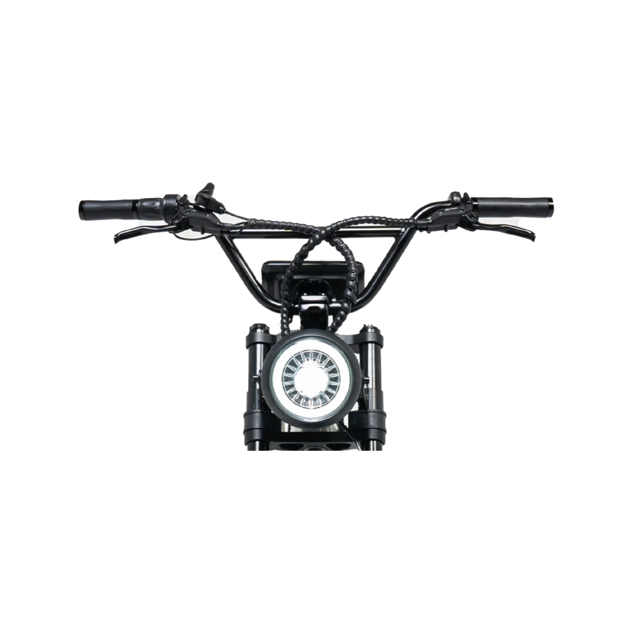 KOBRA ŠPORTNA KRMILA